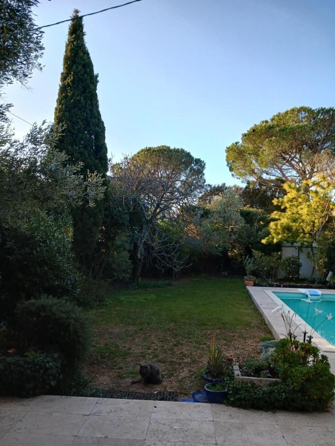 Studio Charmant Et Calme Villeneuve Les Avignon Entree Et Cour Independantes Climatisation Piscine Parking מראה חיצוני תמונה